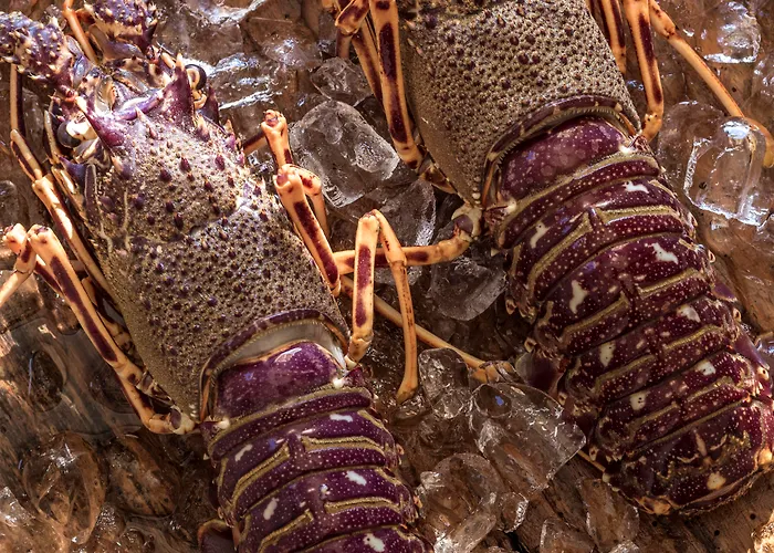 Naxian Collection - Small Luxury Of The World Stelida (Naxos)