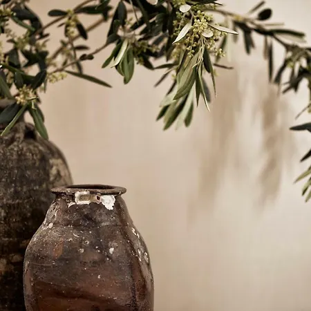Naxian Collection - Small Luxury Of The World 4* Stelida (Naxos)